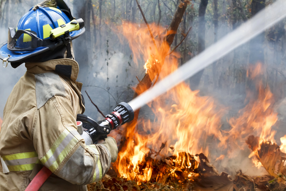 ola de calor reino unido incendios forestales