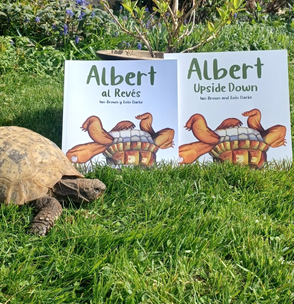 tortuga albert