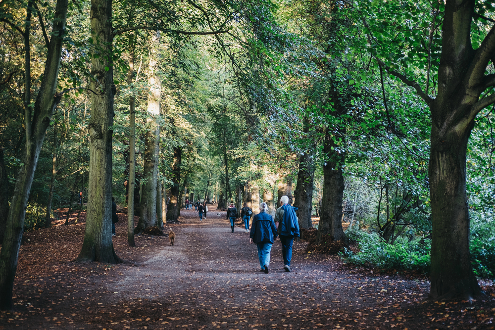 hampstead heath corredor natural londres