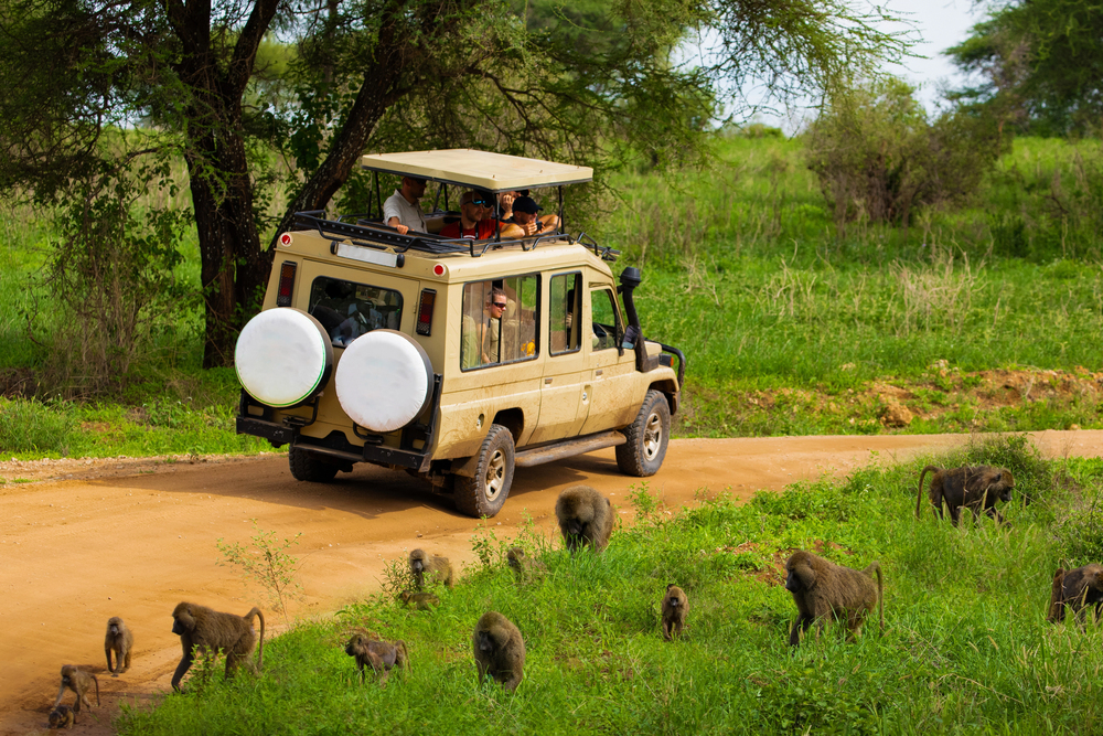 tanzania
