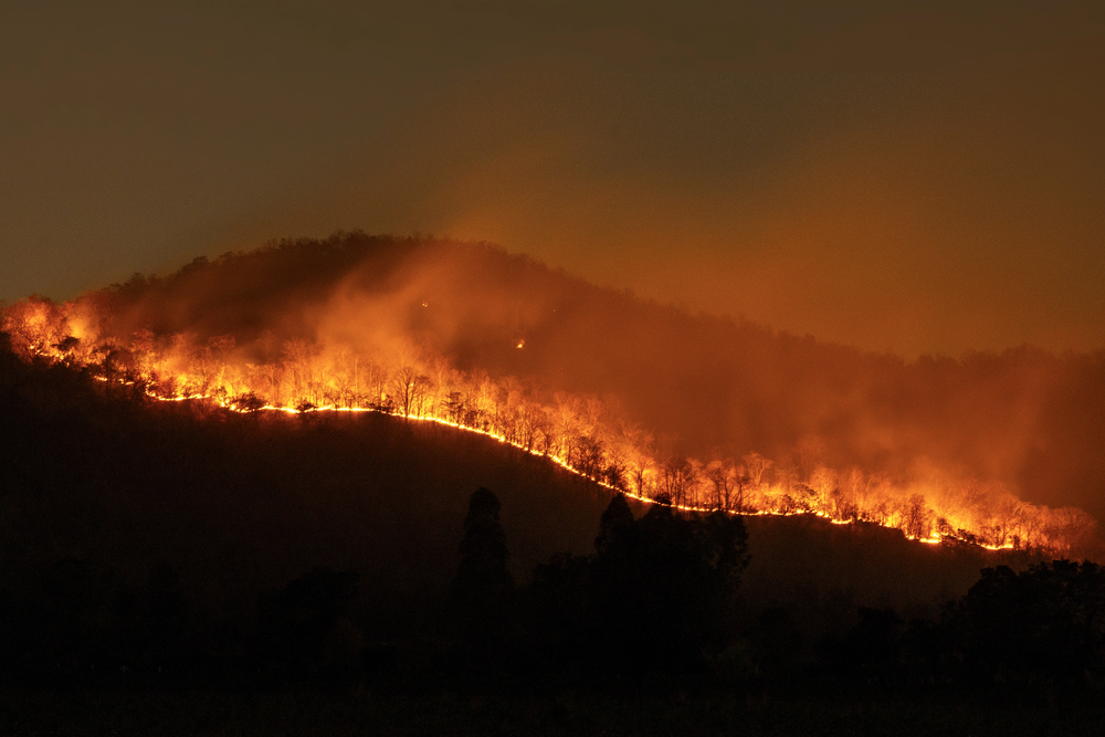 incendio central nuclear Suffolk