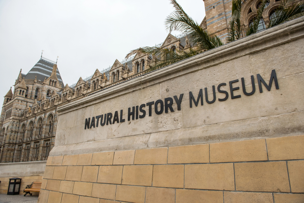 museo historia natural